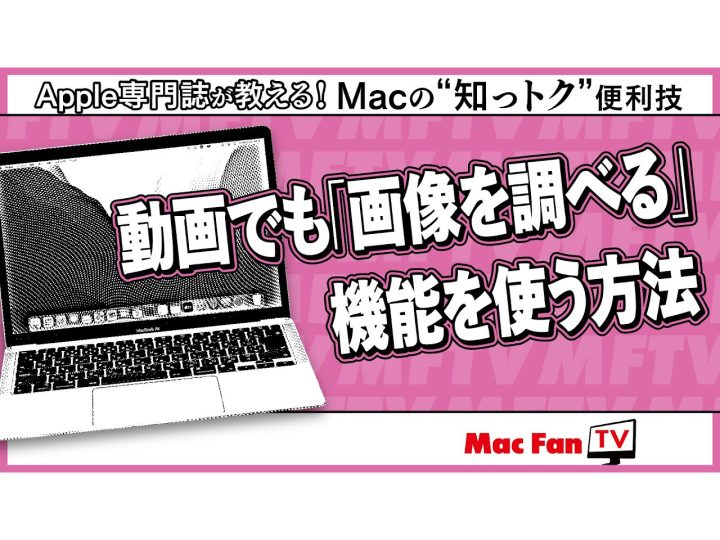 【macOS Sonoma】動画でも「画像を調べる」機能を使う方法【Macの“知っトク”便利技】