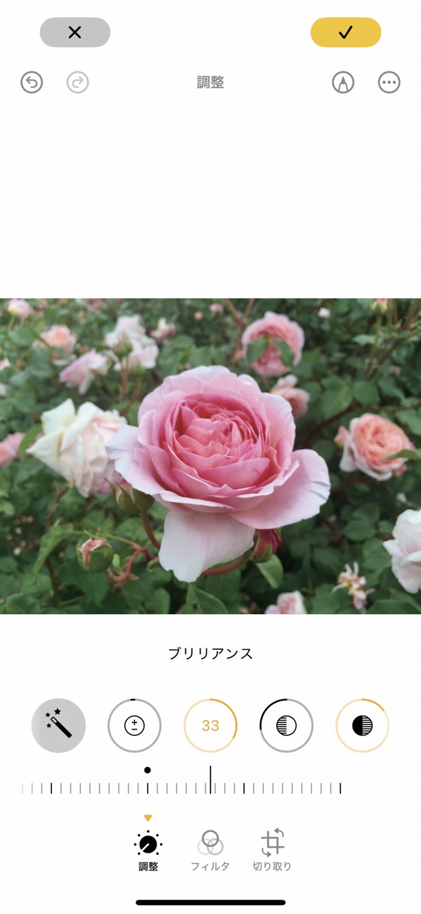 「写真」アプリで撮影した写真を見返す・管理する15