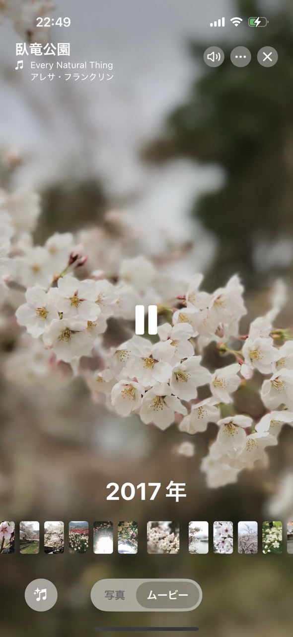 「写真」アプリで撮影した写真を見返す・管理する05
