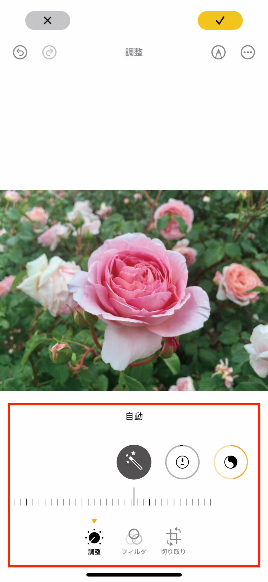 「写真」アプリで撮影した写真を見返す・管理する14