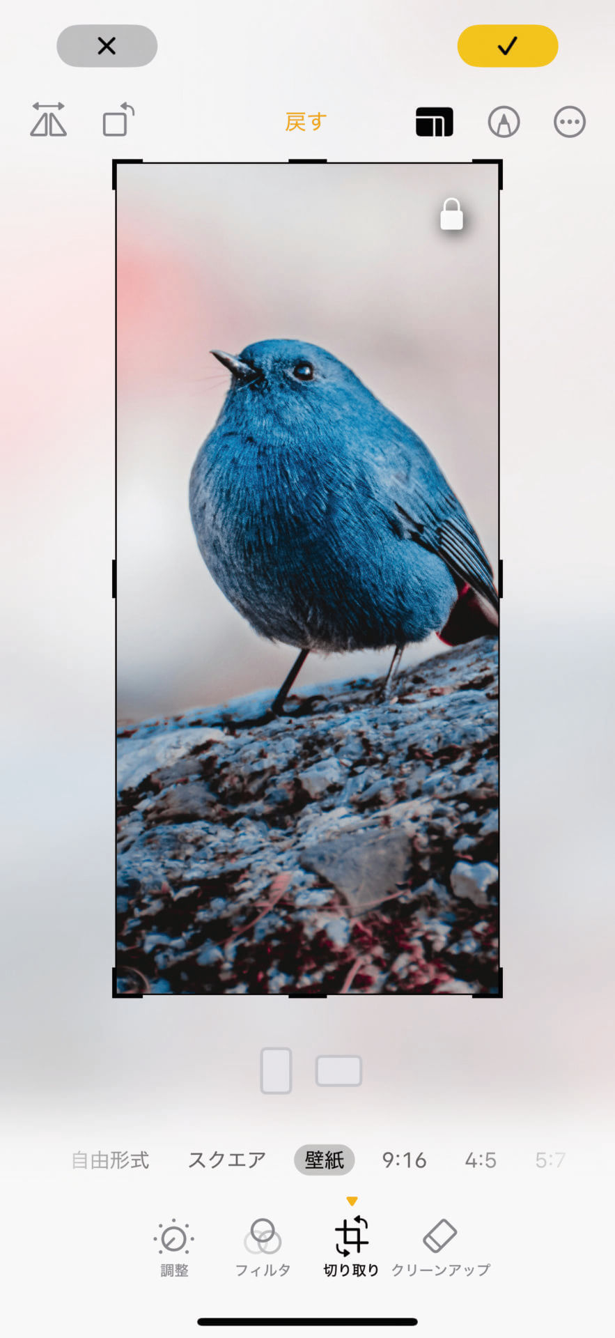 「写真」アプリで使いたい画像を表示します。編集モード→［切り取り］を選択→［壁紙］を選択→時刻表示の位置を意識してトリミングしたら、ロック画面のカスタマイズで写真を指定しましょう。