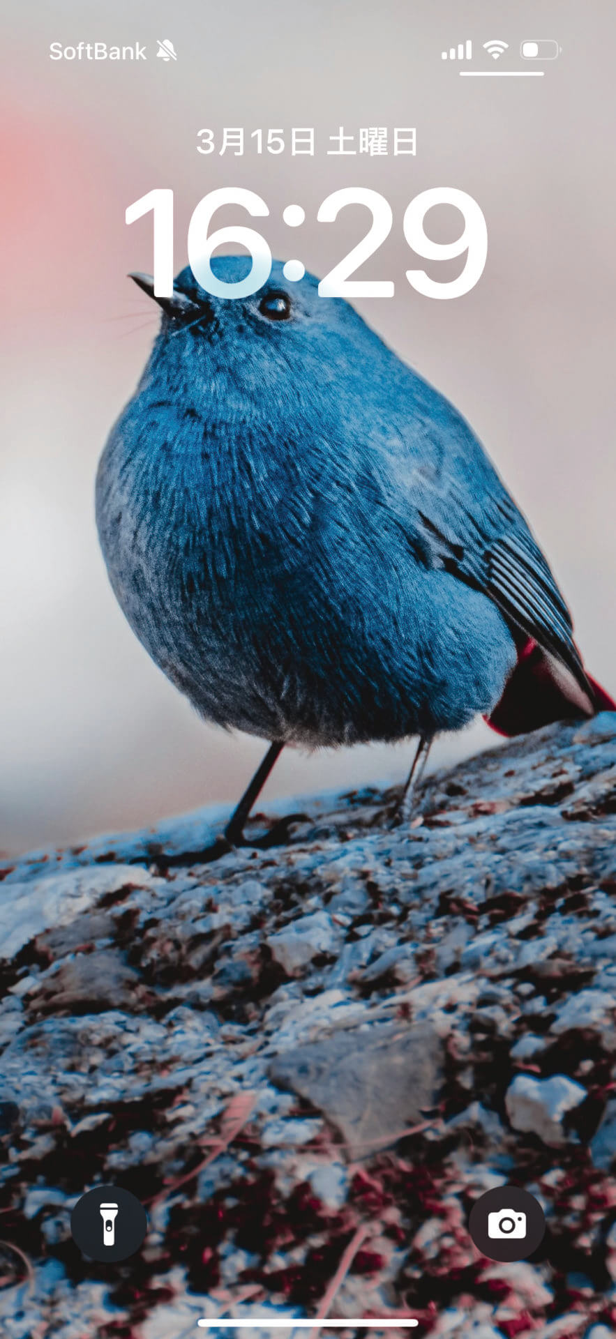 こちらはトリミング前の画像を、ロック画面にしたものです。