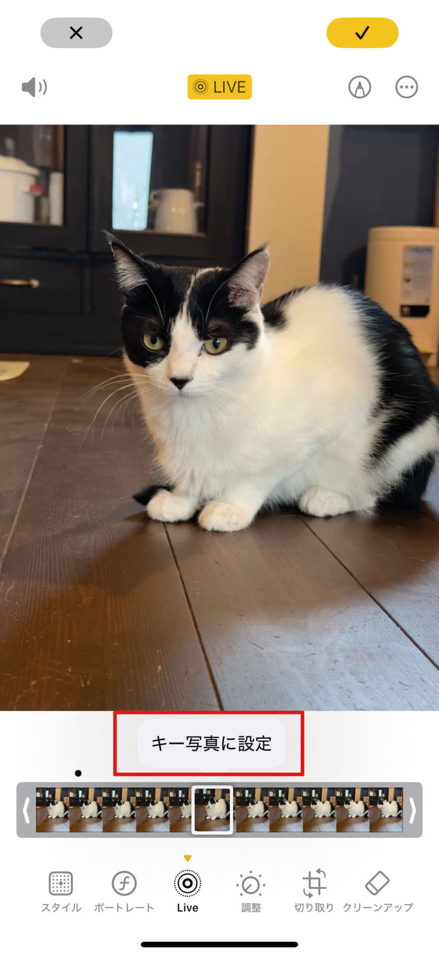 「写真」アプリでLive Photos写真を表示→［編集］モードに切り替え、画面下側の［Live］ボタンをタップします。スライダを左右にドラッグして、ベストショットを探したら、［キー写真に設定］をタップして完了です。