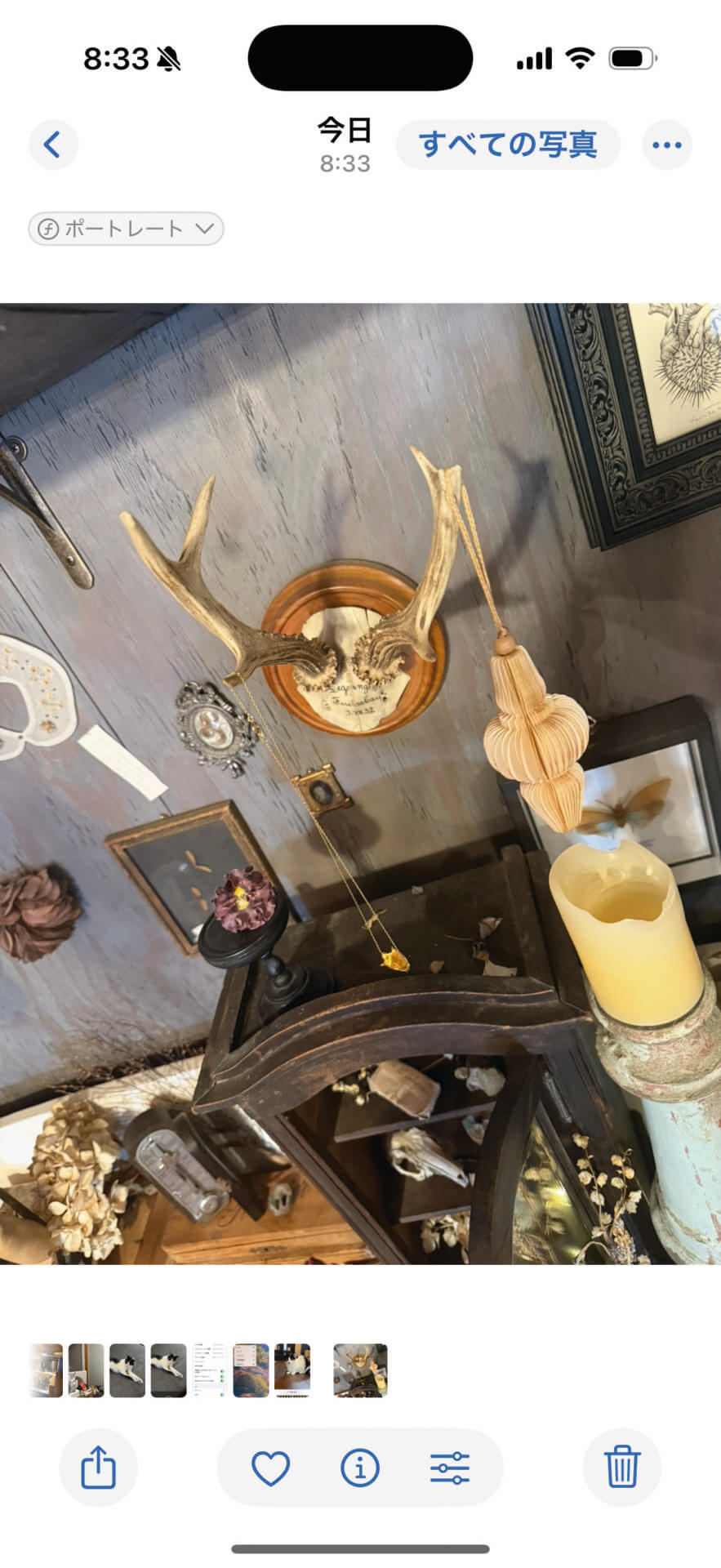 プレビューを確認できました。画面のどこかをタッチし、下にスワイプすればカメラに戻ります。