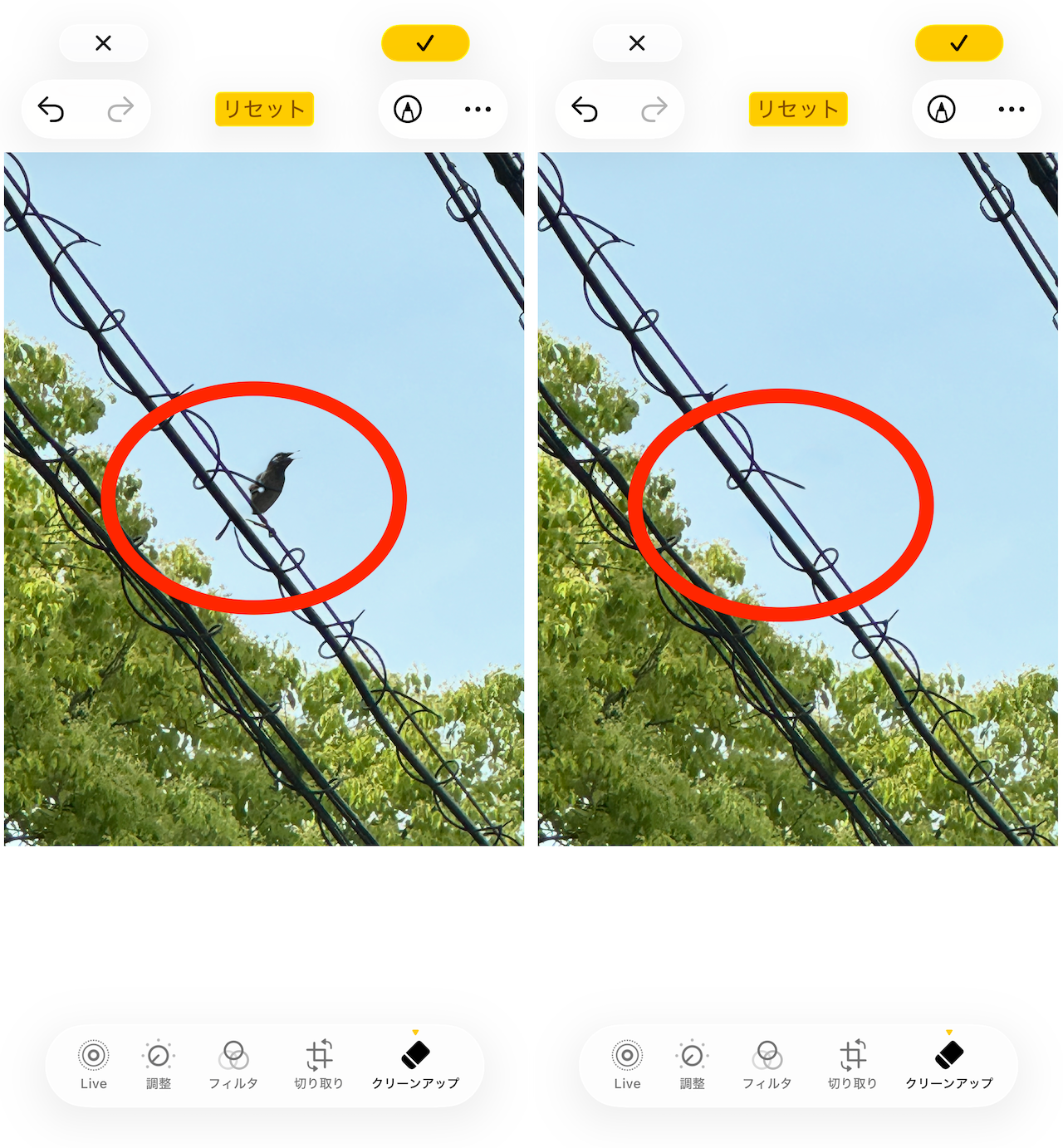 たとえば、電線に止まったムクドリを写真から削除してみようとするも…。ムクドリと一緒に電線の一部も切れてしまいました。